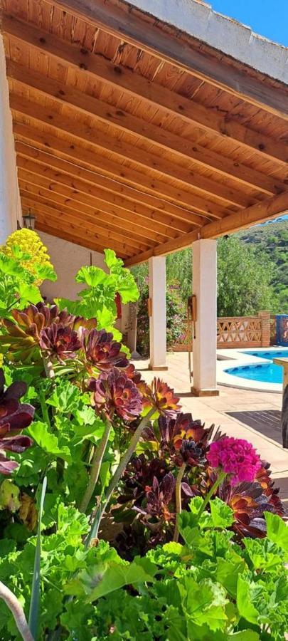 Montana Retreat Bed and Breakfast Álora Eksteriør billede